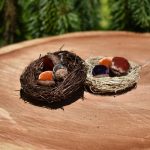 Cutiekins Birds Nest- Acorns