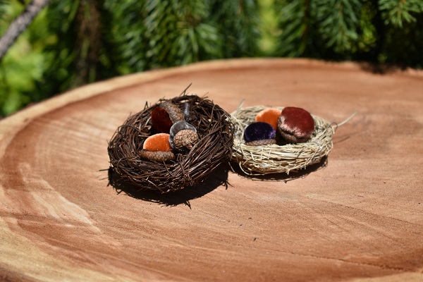 Cutiekins Birds Nest- Acorns