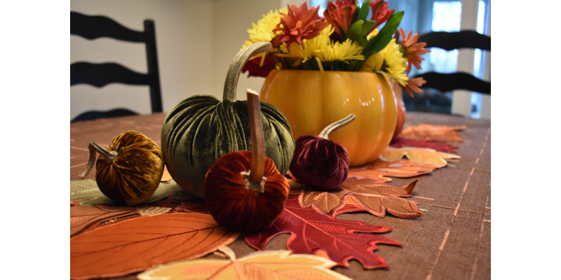 Thanksgiving Pumpkin Display- Gold, Olive, Burnt Orange, Plum