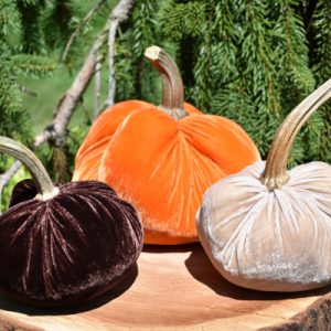 Fall Group- Orange, Brown, and Cream Pumpkins
