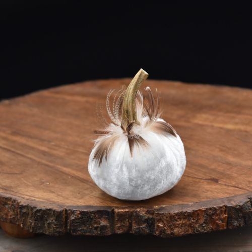 Feathered Small Pumpkin