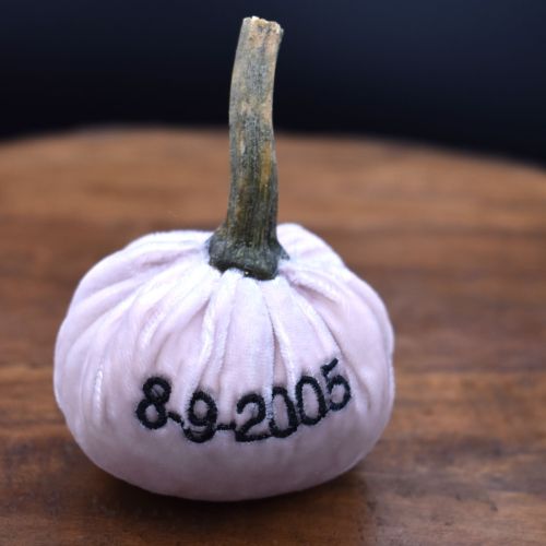 Custom Cuties Small Pumpkin